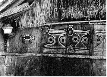 Figure 12: Detail of a longhouse wall decorated with designs based on hallucinatory yajÃ©-experiences