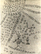Figure 14: â€œGolden spheresâ€, seen by a JÃ­varo shaman