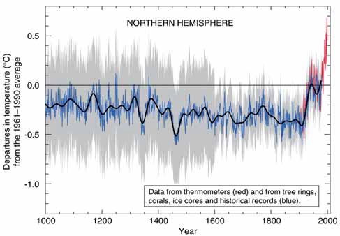 Northern hemisphere temp fluctuations