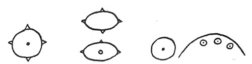 Different depictions of â€œManitou.â€ Left and center: Dotted circle with four rays represent â€œKitchi Manitouâ€ (â€œGreat Spiritâ€).