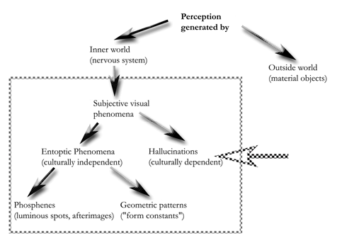 Fig. 1: Types of subjective visual phenomena. 