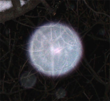 orb