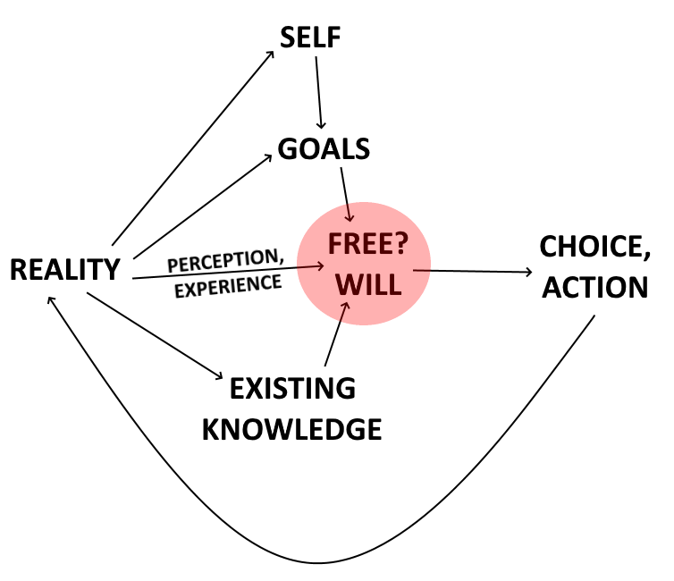 free will